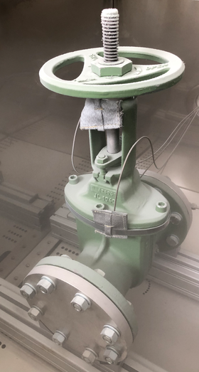 Typical stuffing box packings