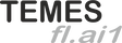 TEMES fl.ai1